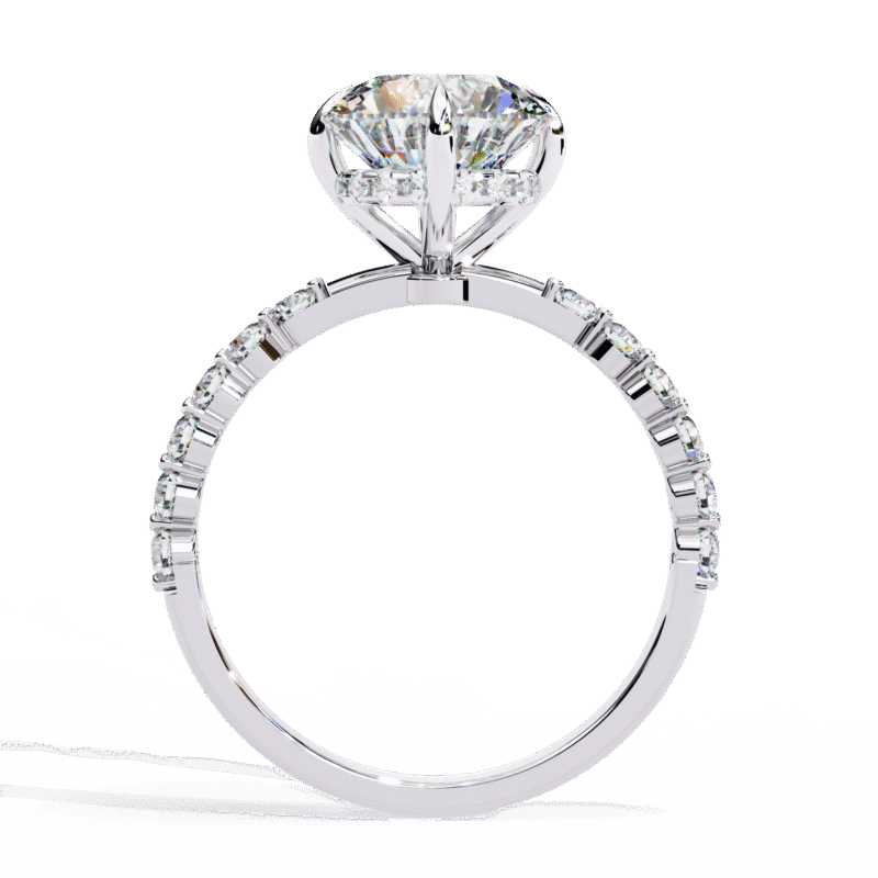 Round Moissanite Engagement Ring For Women - Image 8