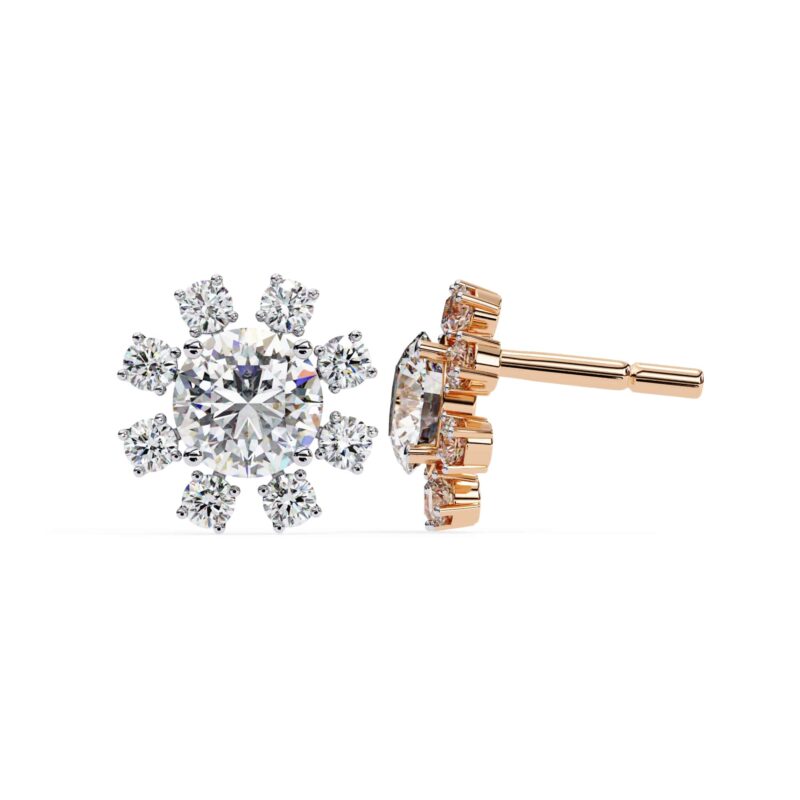 Moissanite Stud Earrings For Women - Image 8