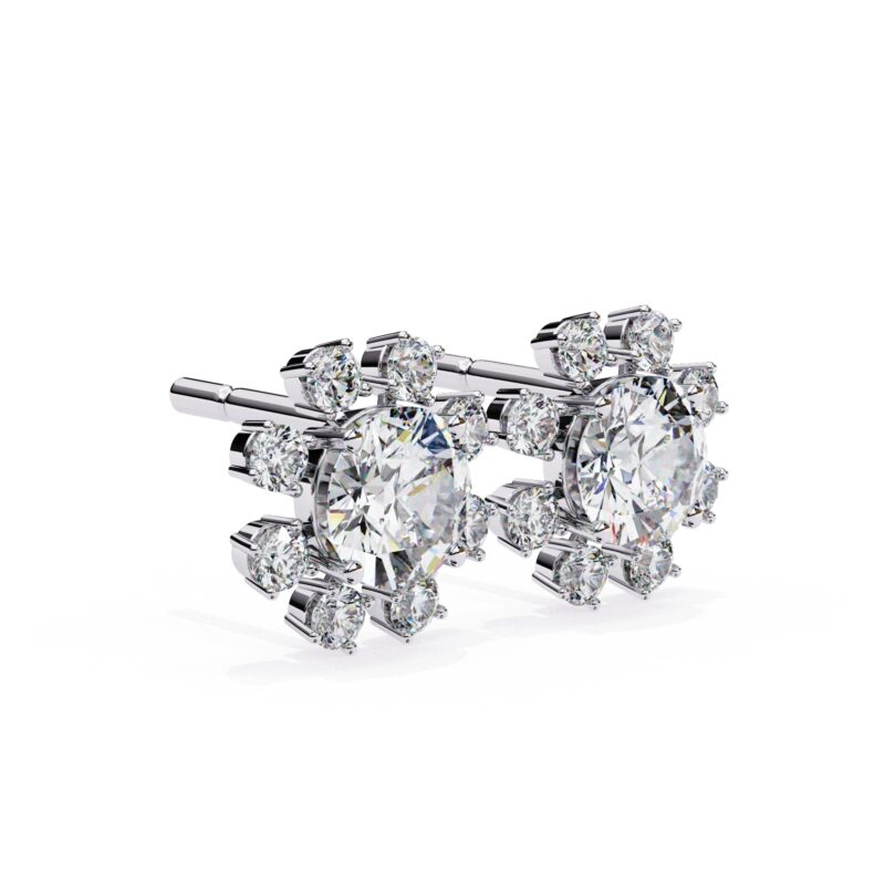 Moissanite Stud Earrings For Women - Image 4