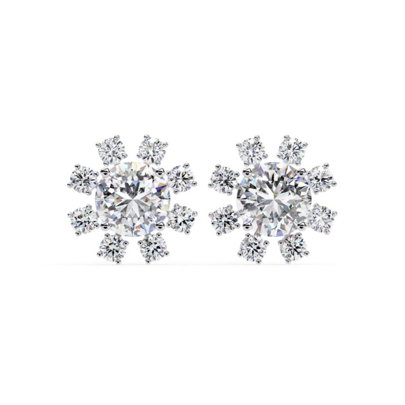 Moissanite Stud Earrings For Women - Image 12