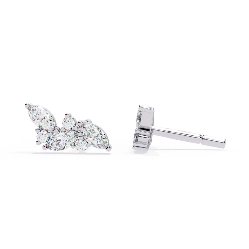Moissanite Stud Earrings For Women